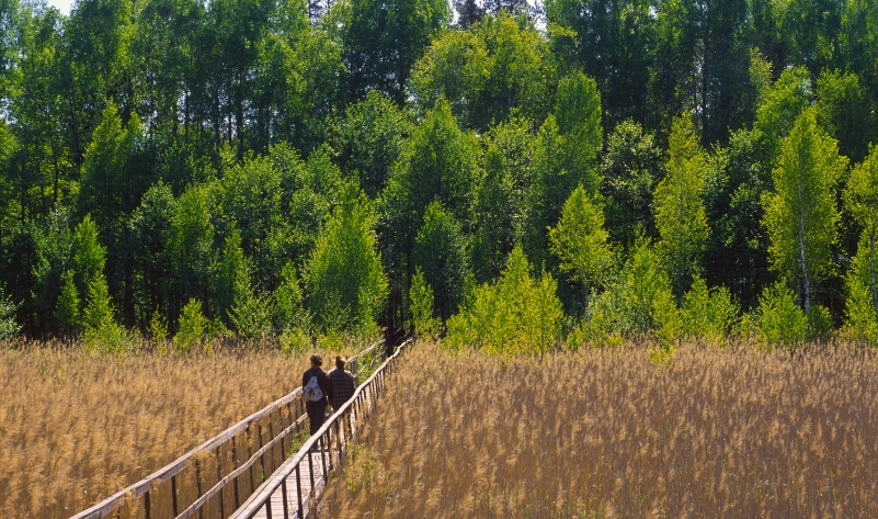 SPACER NAD BIEBRZĄ - 1 dzień