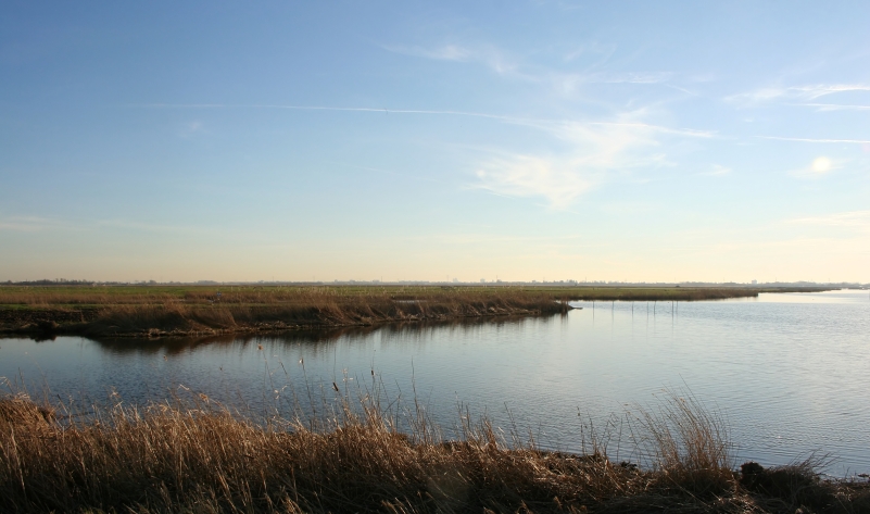 SPACER NAD BIEBRZĄ - 1 dzień