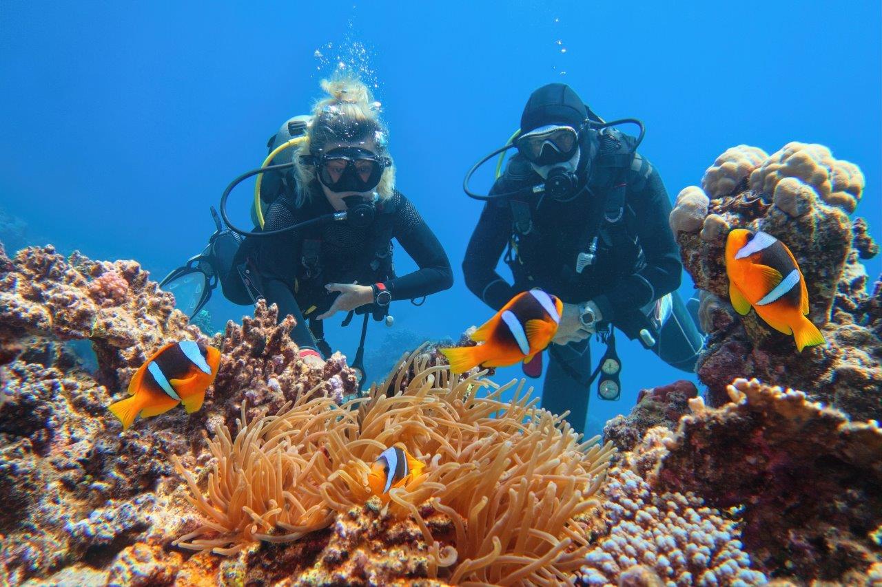 Egipt - Sharm el Sheikh i Kair - W kraju faraonów - wylot z Warszawy (all inclusive)