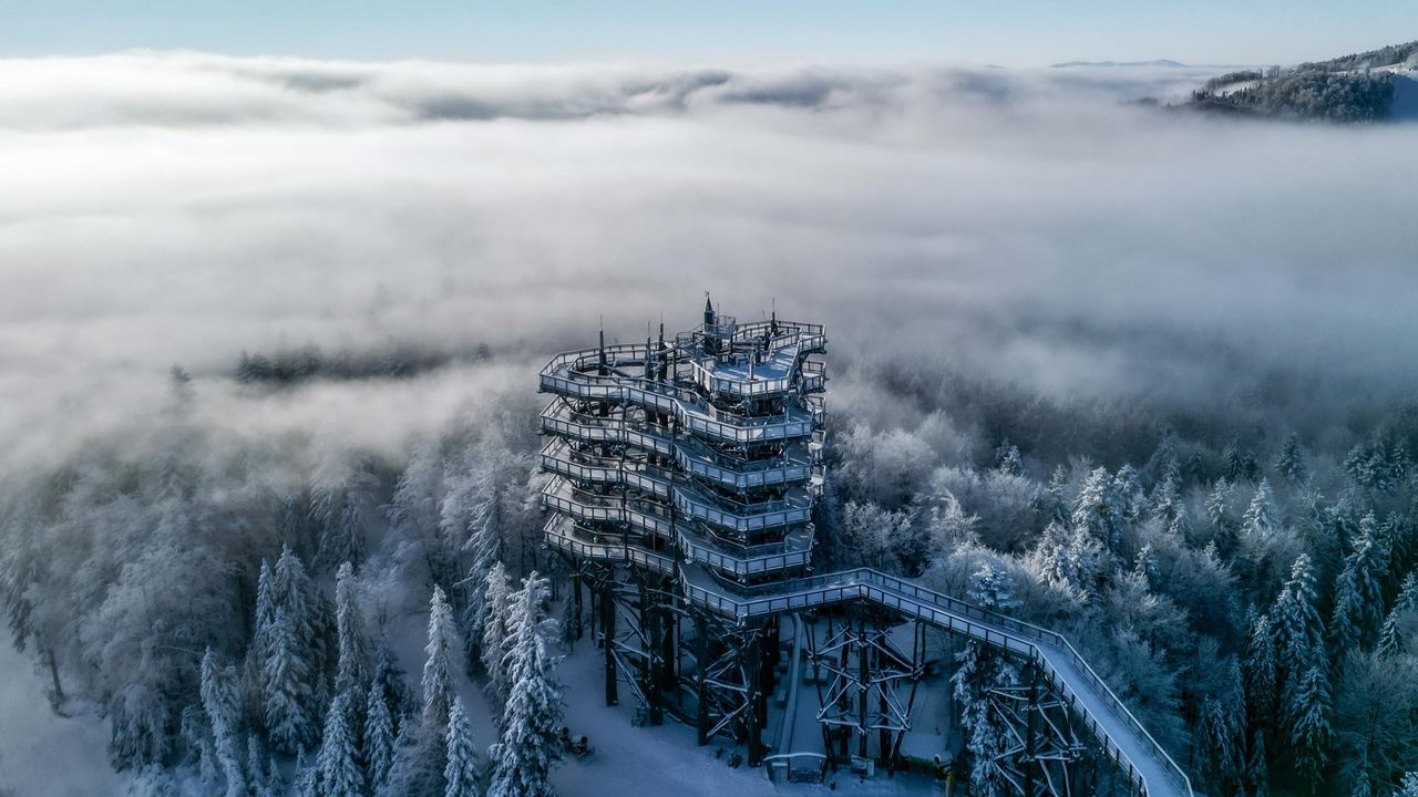 Krynica-Zdrój - obóz narciarski