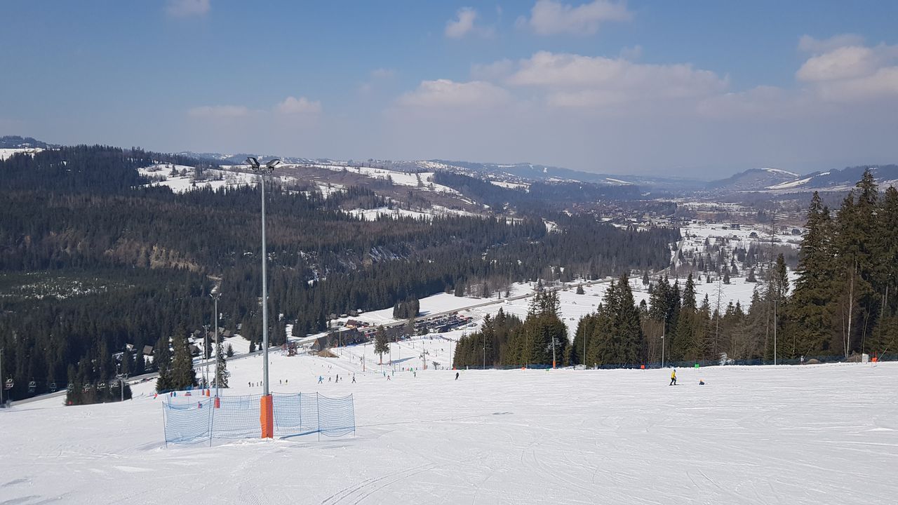 Krynica-Zdrój - obóz snowboardowy