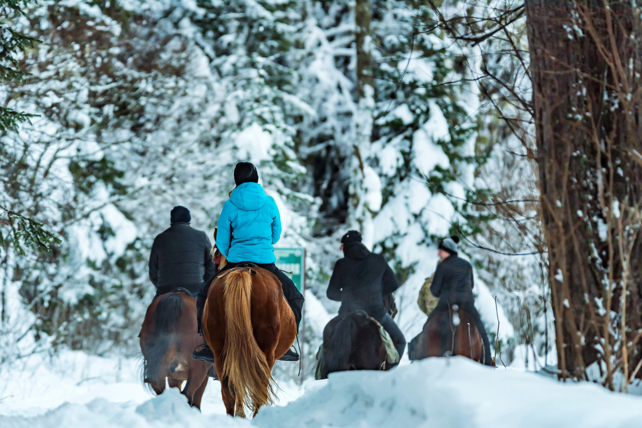 Gruzja - narty na Kaukazie - wylot z Gdańska (skipass w cenie)