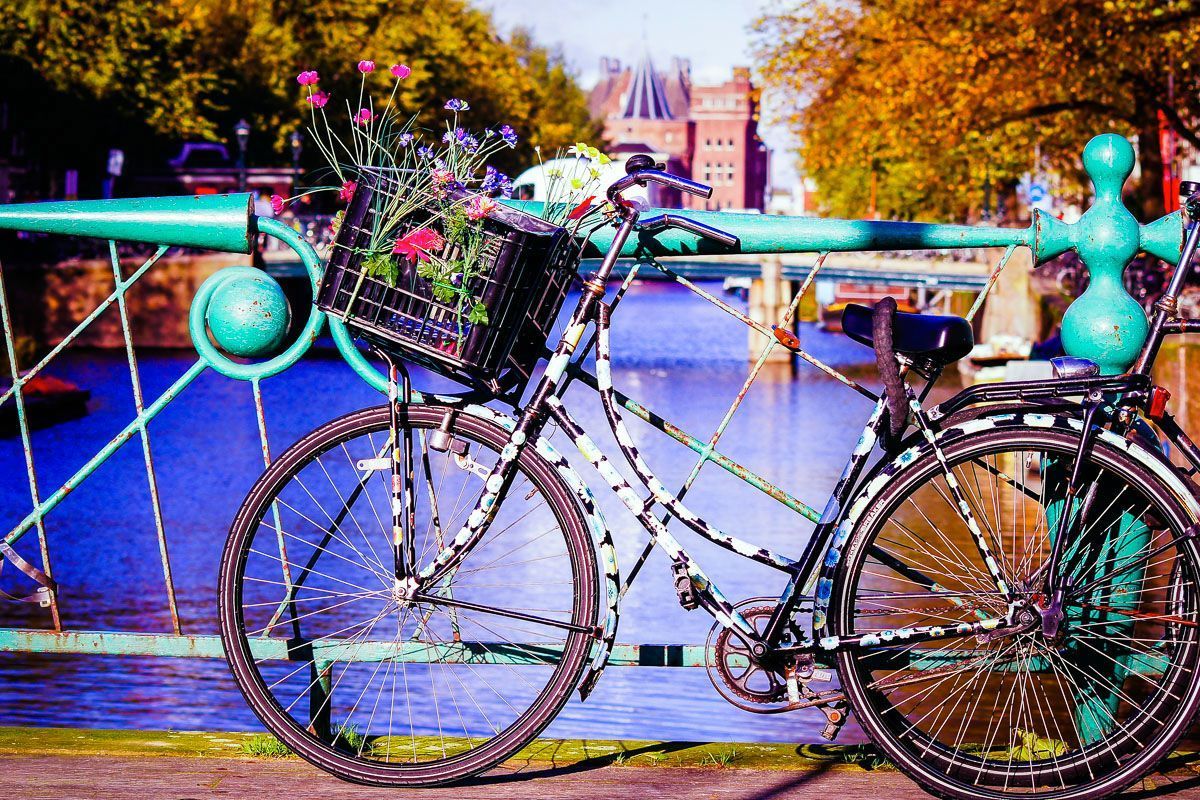 [PLATINUM] Amsterdam i Brema