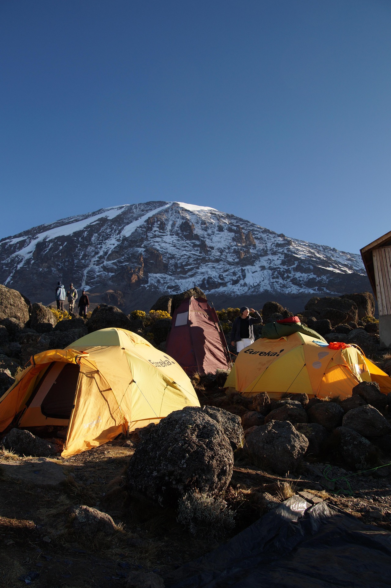 Kilimandżaro trekking na Dach Afryki > szczyt Korony Ziemi - dla Zdobywców