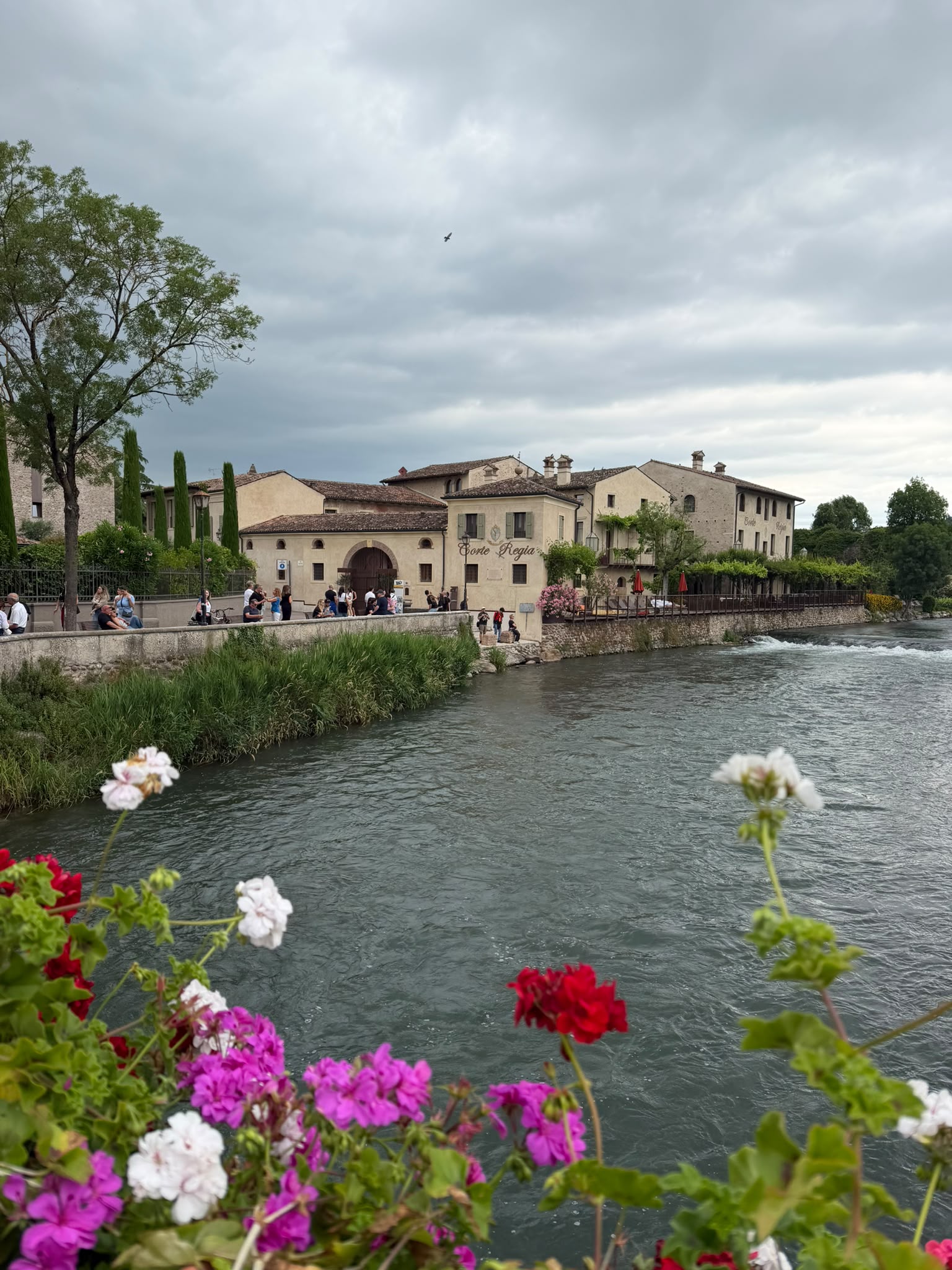 Jezioro Garda rowerem > widoki, góry, winnice i dolce vita