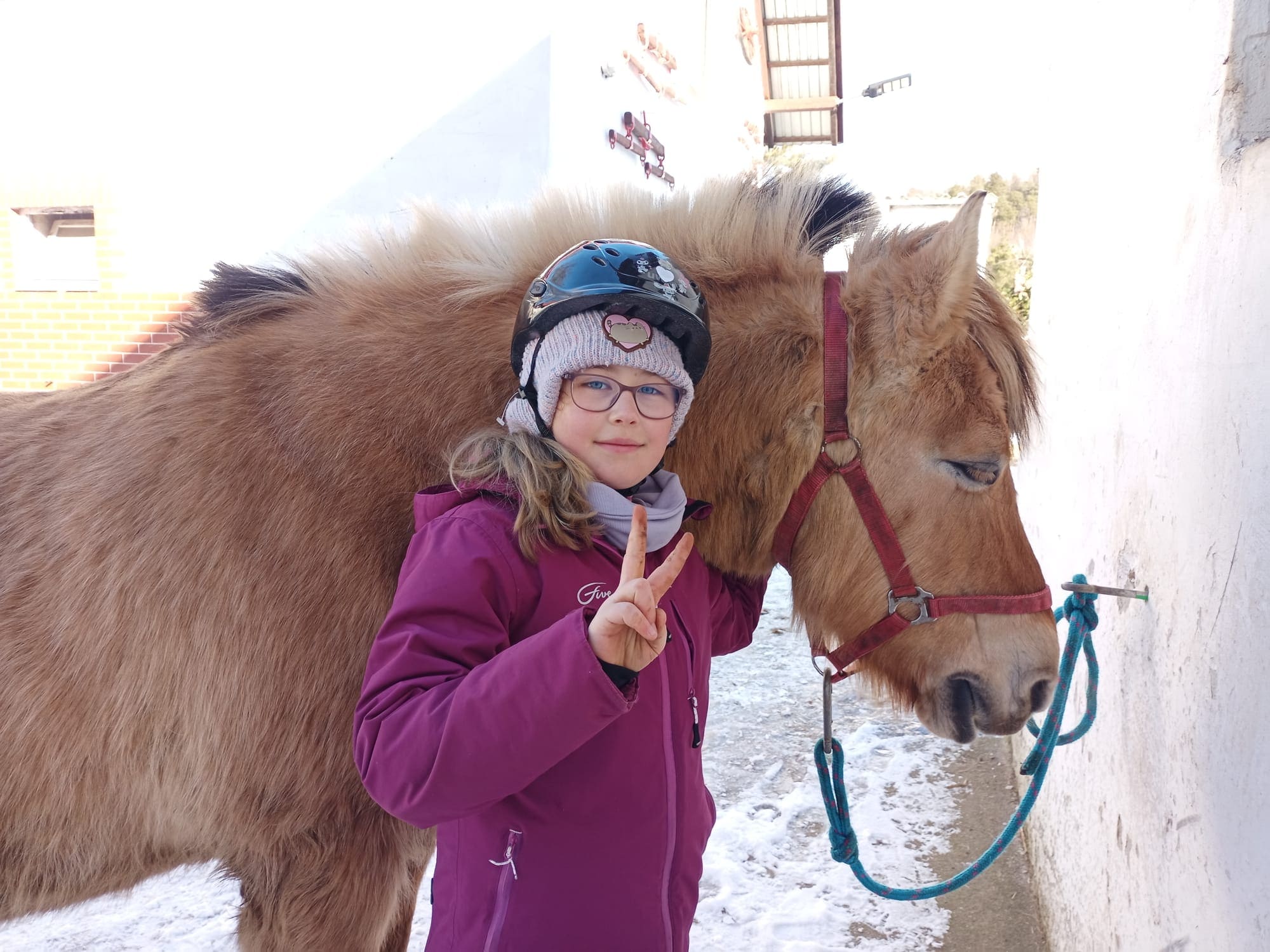 Zimowy obóz przygodowy z jazdą konną i Hobby Horse