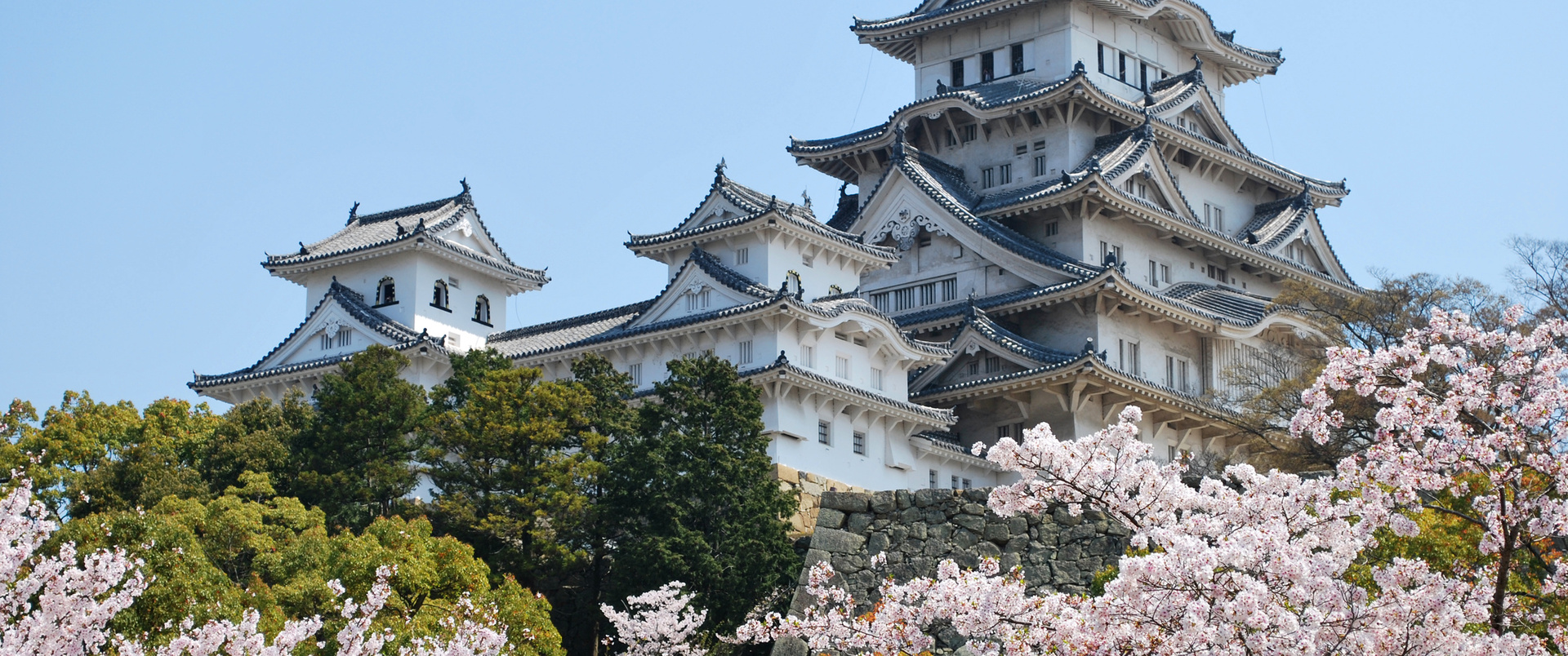 JAPONIA - 15 DNI
