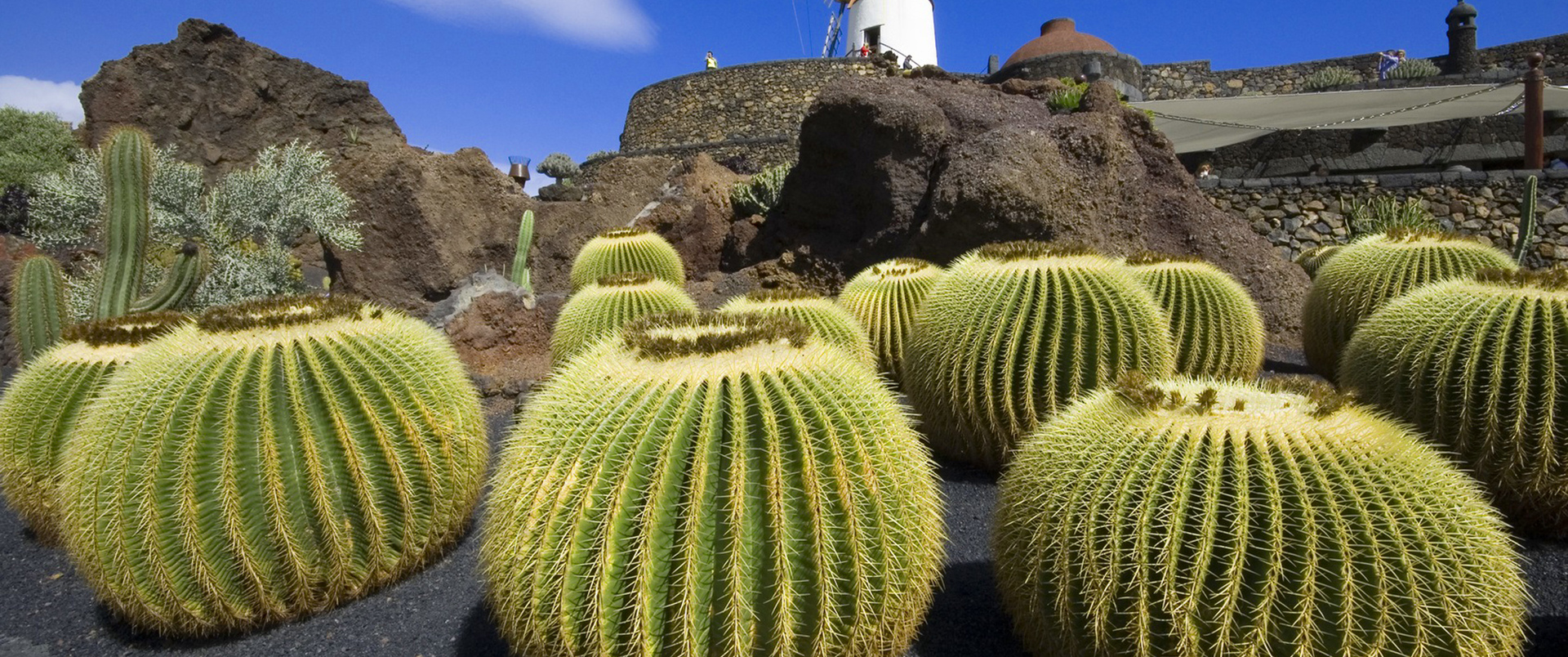 HISZPANIA - WYSPY KANARYJSKIE (TENERYFA – GRAN CANARIA – LANZAROTE)