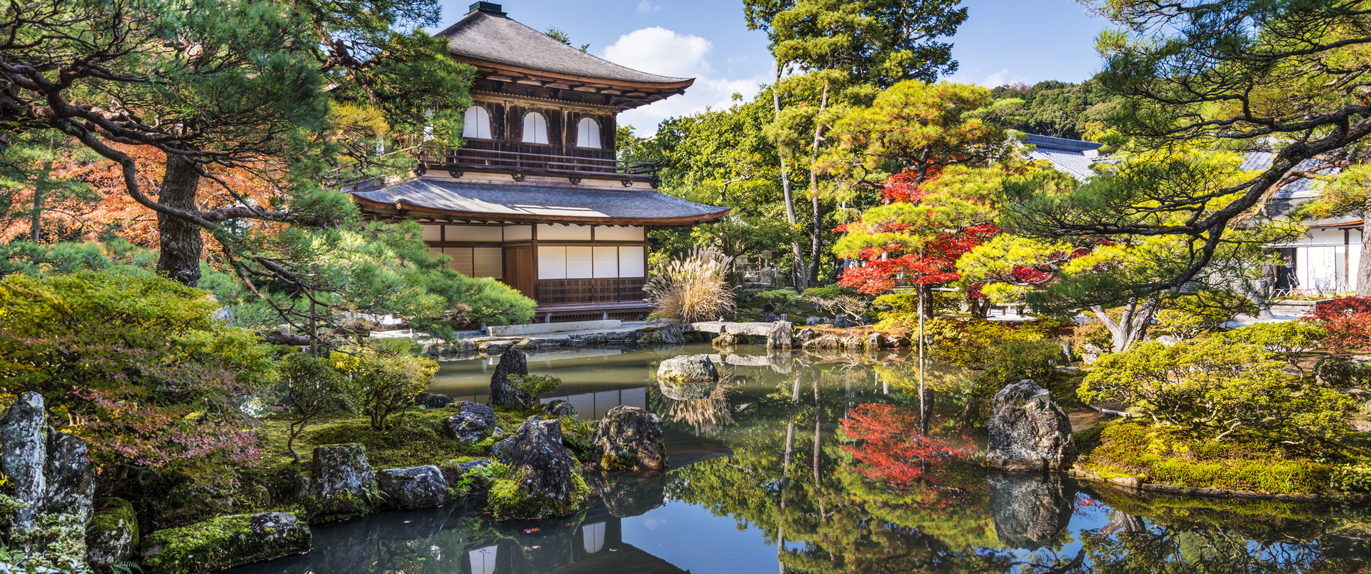 JAPONIA dla koneserów