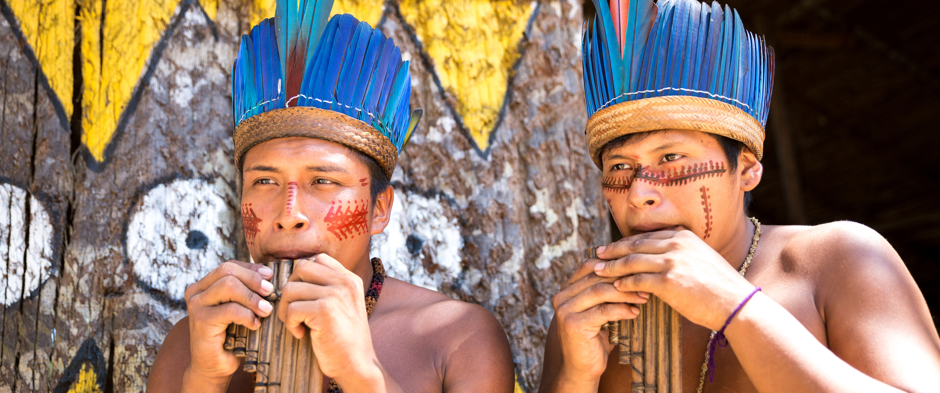 BRAZYLIA (+ Amazonia i Pantanal)